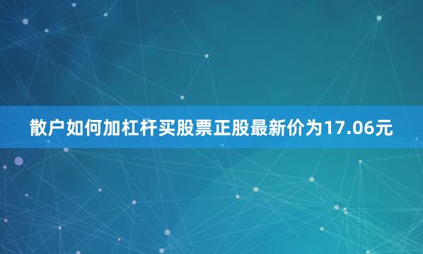散户如何加杠杆买股票正股最新价为17.06元