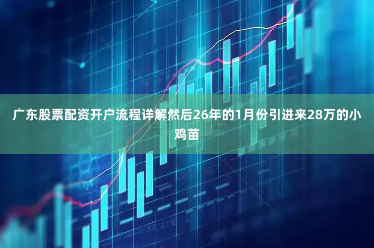 广东股票配资开户流程详解然后26年的1月份引进来28万的小鸡苗